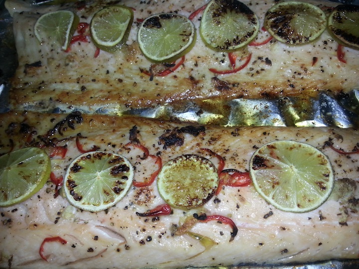 salmon 5